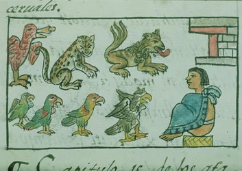Ms Palat. 218-220 Buch IX Tiere des Aztekenkaisers, aus dem 